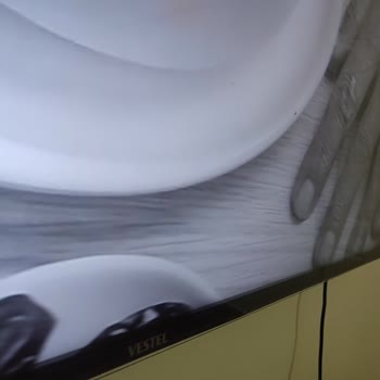 Vestel LED TV Ekran İçine Kanatlı Böcek Girmesi
