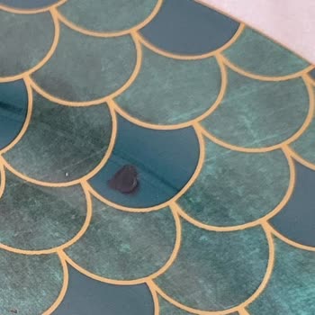 Karaca Züccaciye Pahalı Ama Zincir Marketteki Ucuz Tabaklardan Daha Kalitesiz Ürünleri