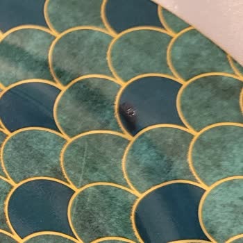 Karaca Züccaciye Pahalı Ama Zincir Marketteki Ucuz Tabaklardan Daha Kalitesiz Ürünleri