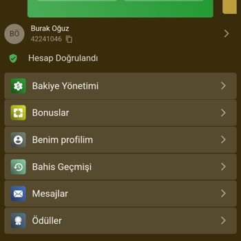 Wipbet Kazancımı Alamadım: Çekim Hüsranı