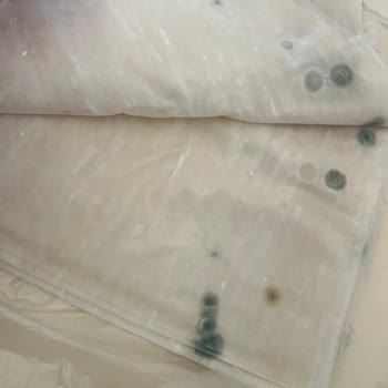 Untad Küflenmiş Baklavalık Yufka