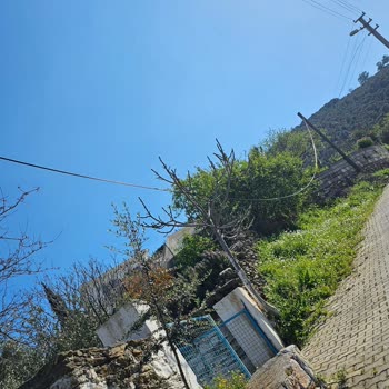 Türk Telekom Kopan Kablo Hattını 4 Aydır Gidermiyor