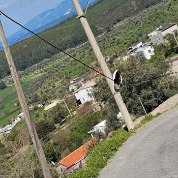 Türk Telekom Kopan Kablo Hattını 4 Aydır Gidermiyor