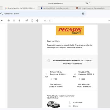 Pegasus Yanıltı, Avis Fahiş Fiyat Uyguladı