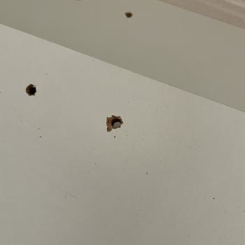 Kalender Dekor Vivense İse Bir Daha Düşün! Paranızı Çöpe Atmış Olursunuz!
