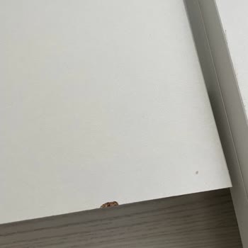 Kalender Dekor Vivense İse Bir Daha Düşün! Paranızı Çöpe Atmış Olursunuz!