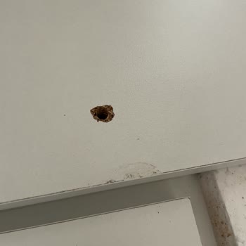 Kalender Dekor Vivense İse Bir Daha Düşün! Paranızı Çöpe Atmış Olursunuz!