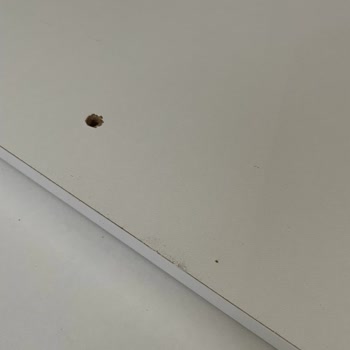 Kalender Dekor Vivense İse Bir Daha Düşün! Paranızı Çöpe Atmış Olursunuz!