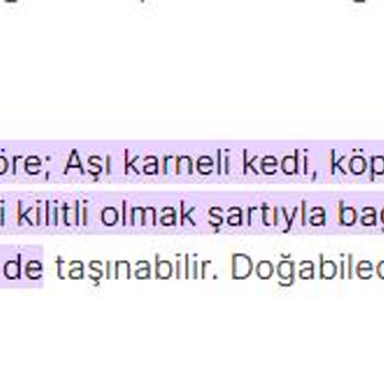 Tokat Yıldızı Evcil Hayvan Haklarına İhlal
