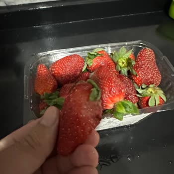 Migros Bozuk Ürünlerin Merkezi