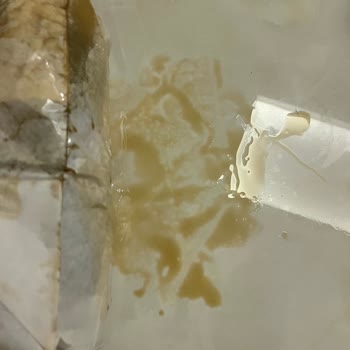 Veracruz Chocolate & Coffee Paramın İadesini İstiyorum