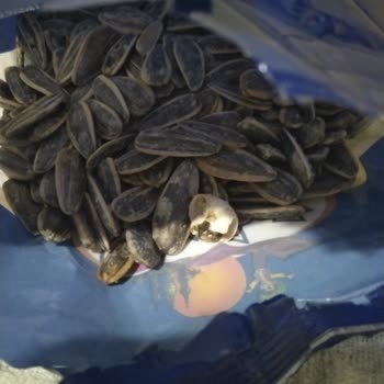 Simbat Kuruyemiş Sümüklü Böcek Çıkması