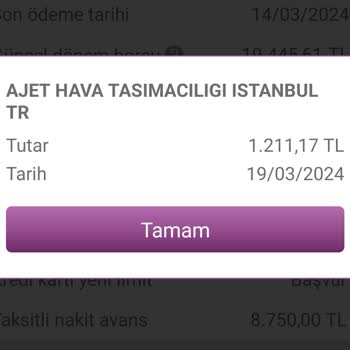 Anadolu Jet Uçuş Bilgisi Gönderilmeyen Müşterinin Mağduriyeti