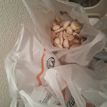 Tunç Başak Un Fabrikası Markalı Ürünlerde Küf Sorunu