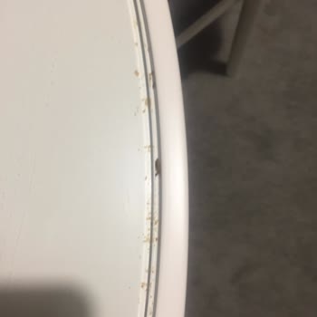 Tepe Home Mutfak Masası İade Acil