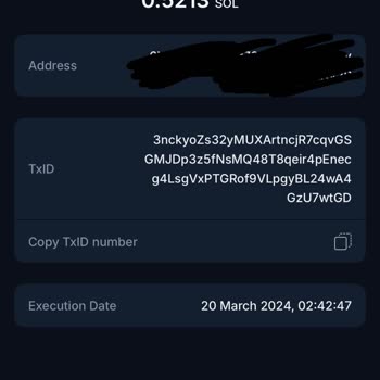 BTC Turk Txıd Hatası İle Para Gelmedi