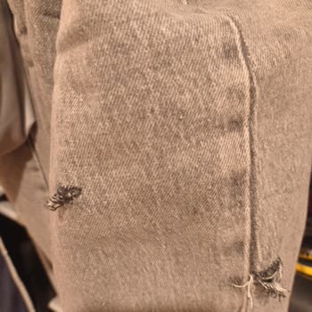 Selçuklu Belediyesi (Konya) Konya 4. OSB Girişi Köpek Saldırısı