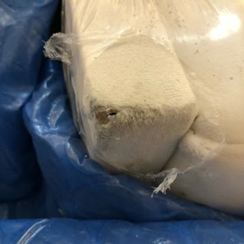 Primo Mobilya Koltuk Takımı Siparişi Ve Teslimat Sürecinde Yaşanan Sorunlar