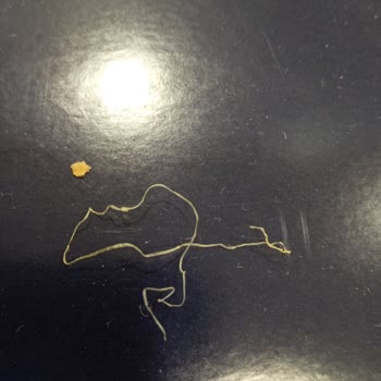 Shell Ispanaklı Böreğin İçinden Tanımlanamayan Madde Çıktı