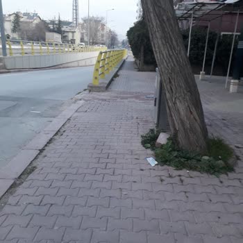 Selçuklu Belediyesi (Konya) Yaya Yolunun Düzeltilmesi