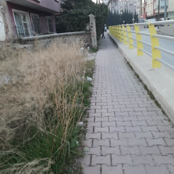 Selçuklu Belediyesi (Konya) Yaya Yolunun Düzeltilmesi