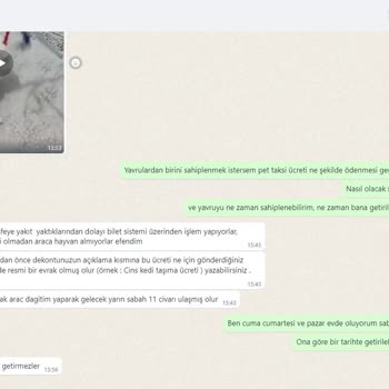 Nüfus ve Vatandaşlık İşleri Kedi Sahiplendirme Hakkında