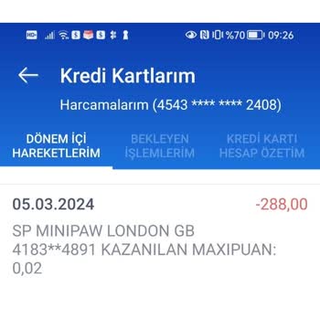 Minipaw Satın Aldığım Kedi Oyuncağını Göndermedi