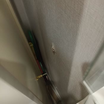 Torunlar Gyo 5. Levent Sitesi Banyo Dolapları Tehlikesi