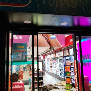 Watsons Mağazasının İçinde Başıboş Köpekler Yatıyor. Sağlık Sorunu.