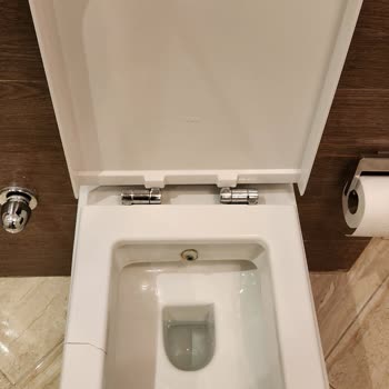 Kale Basics Smart Klozet Kapağı Kronik Kırılma Problemi