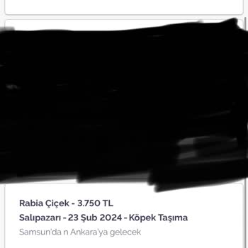 Armut Randevu İptali Neden Yok