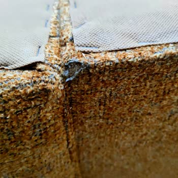 Kelebek Mobilya Doğanlar Mobilya/Kelebek Tam Anlamıyla Pişmanlık