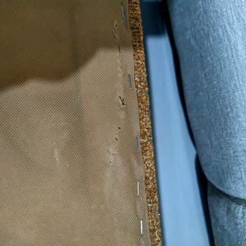 Kelebek Mobilya Doğanlar Mobilya/Kelebek Tam Anlamıyla Pişmanlık