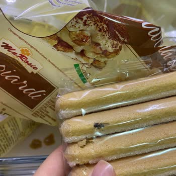 File Market Ma Rosie Böcekli Kedi Dili!