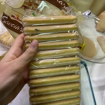 File Market Ma Rosie Böcekli Kedi Dili!
