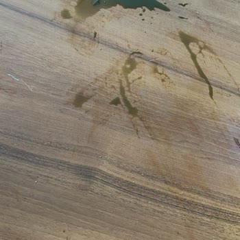 Şok Marketler Taze Beklentisi Hayal Kırıklığına Dönüştü