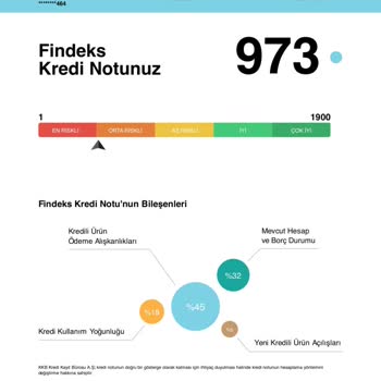 Findeks Mavi Nokta İşareti 🔵 Ne Anlama Geliyor