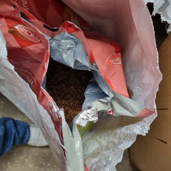 Mamaal.com Yırtık Mama Paketi