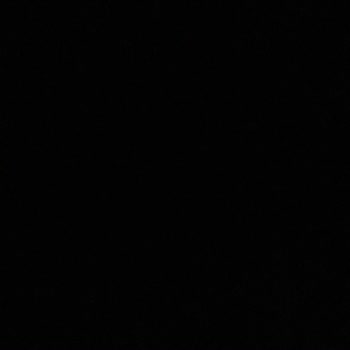 TOKİ Trabzon Of'ta Sokak Köpekleri