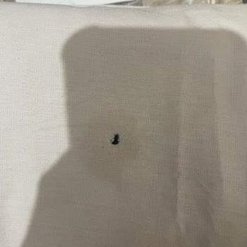 Lova Yatak İlgisiz Ve Güven Kırdı