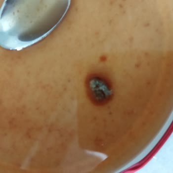 Öncü Salça Böcekli Öncü Domates Salçası