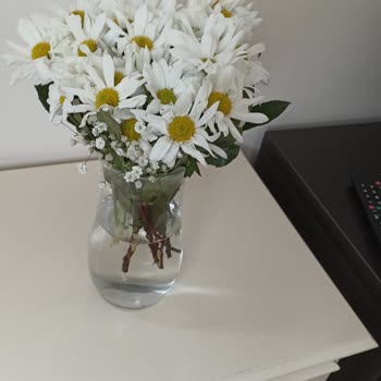 Çiçek Sepeti Oyalaması