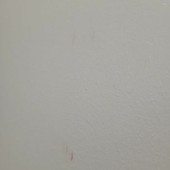 Polisan Elegans Extra Yarı Mat 15 Litre İç Cephe Boyası