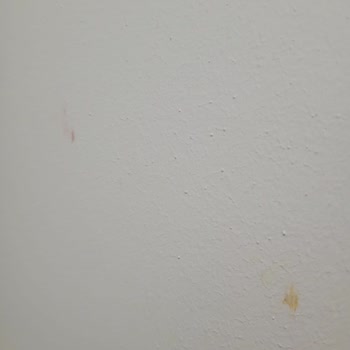 Polisan Elegans Extra Yarı Mat 15 Litre İç Cephe Boyası