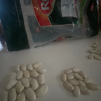 Reis Gıda Reis Battal Boy Kurufasülye, Yarısı Minik Fasülye