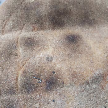 BİM Satın Alınan Pidede Yabancı Madde Bulunması