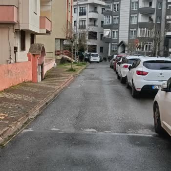 İBB - İstanbul Büyükşehir Belediyesi Engelli Araç Park İşkencesi