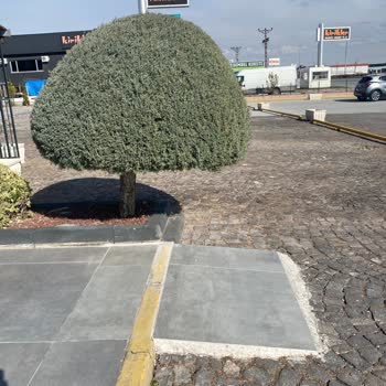 Otokoç 2. El Kayseri