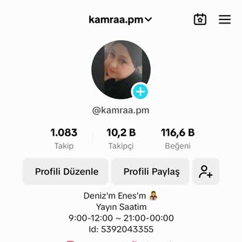 TikTok Hesap Kilitlenmesi Ve Açılmaması