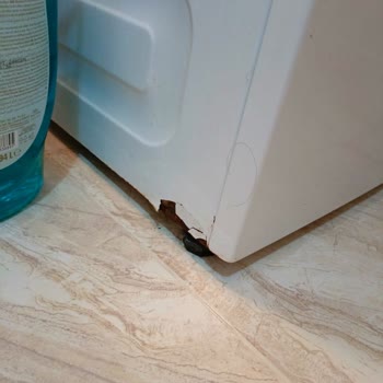 Arçelik Çamaşır Makinesi Paslı